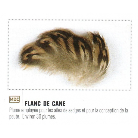 FLANC DE CANE JMC