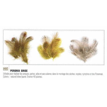 PLUMES DE PERDRIX GRISE JMC