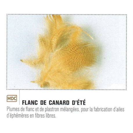 FLANC DE CANARD D' ETE JMC