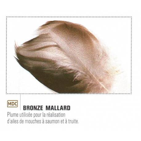 PLUME DE BRONZE MALLARD JMC