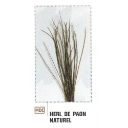 HERL DE PAON NATUREL JMC