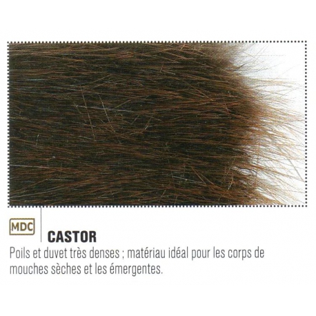 CASTOR JMC