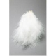 MARABOU