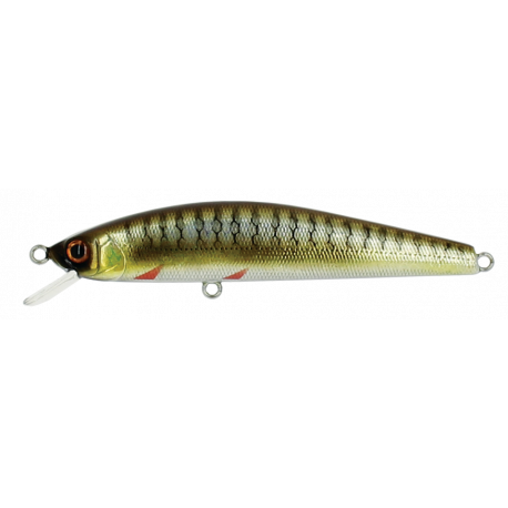 MINNOW 65 SP