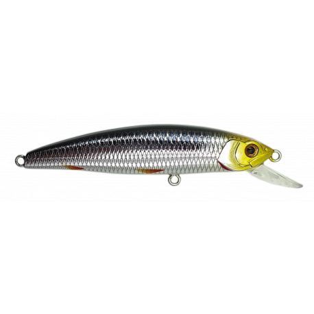 MINNOW 62 SP