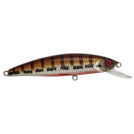 MINNOW 62 SP