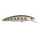 MINNOW 62 SP